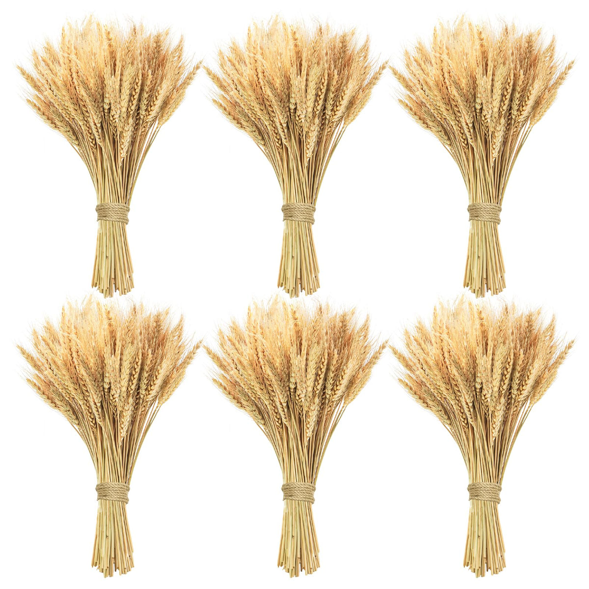 17.7 inches Dried Wheat Stalks, 100 Stems Dried Flowers 100% Natural Wheat for Home Kitchen Office Flowers Arrangement Wedding Table Farmhouse Boho Party Fall Décor