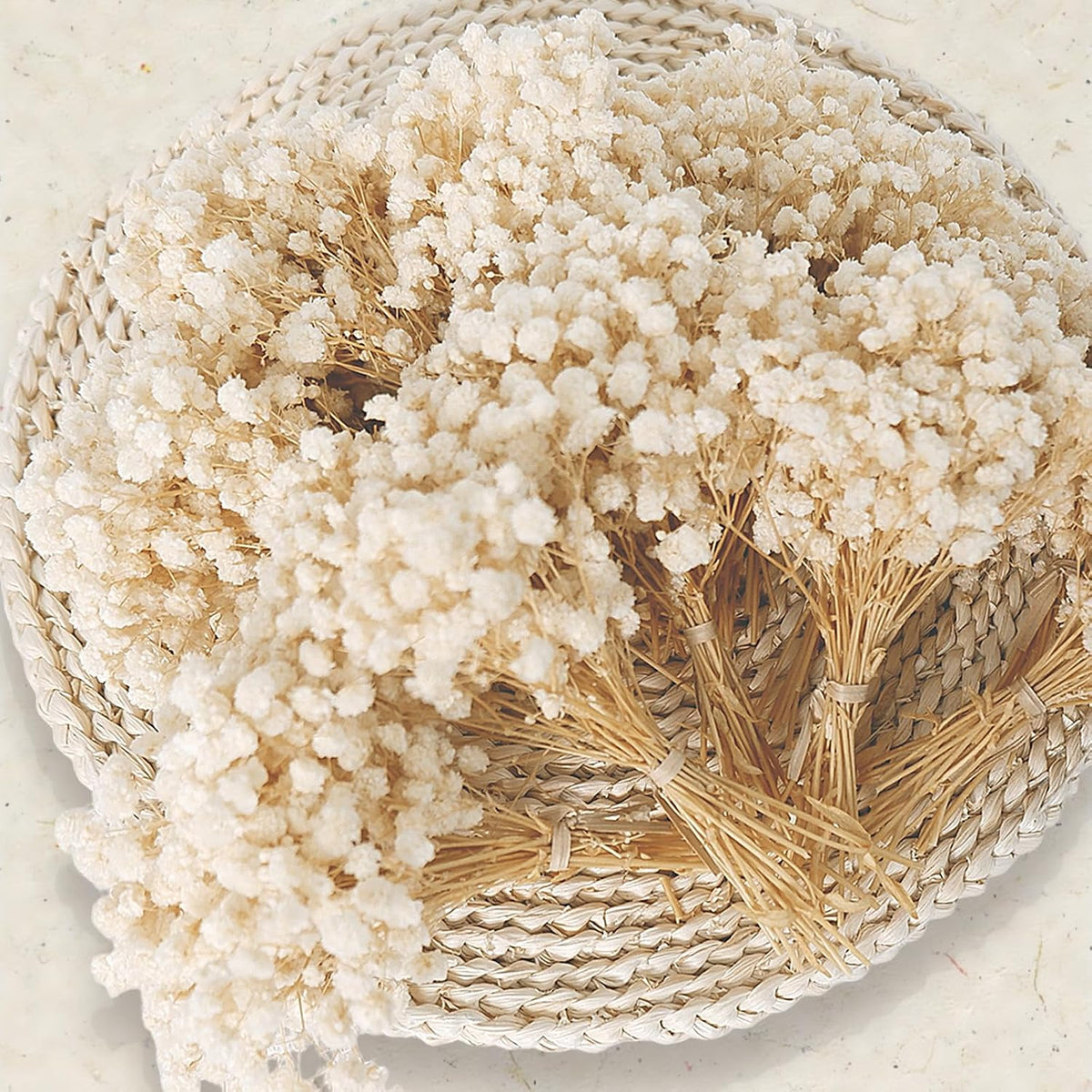 9000+ Mini Dried Baby's Breath Flowers Ivory White for Wedding Decor