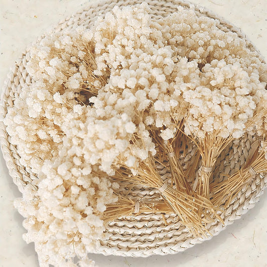 9000+ Mini Dried Baby's Breath Flowers Ivory White for Wedding Decor
