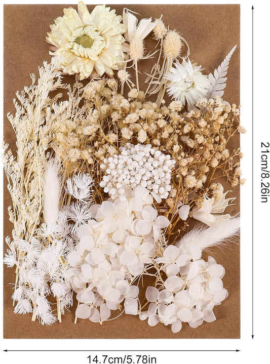 AhlsenL Real Natural Dried Flowers - Mixed Hydrangeas, Daisies, White Decorative for DIY Candle Resin Jewelry Nail Pendant Crafts (Beige)