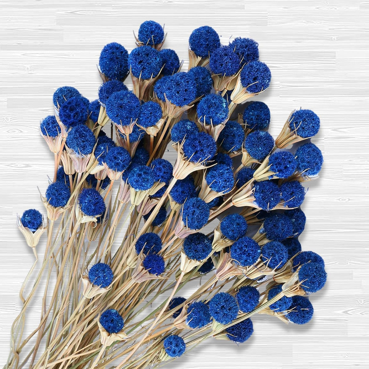 40 Pcs Blue Dried Thistle Flowers, Natural 17" Floral Bouquet