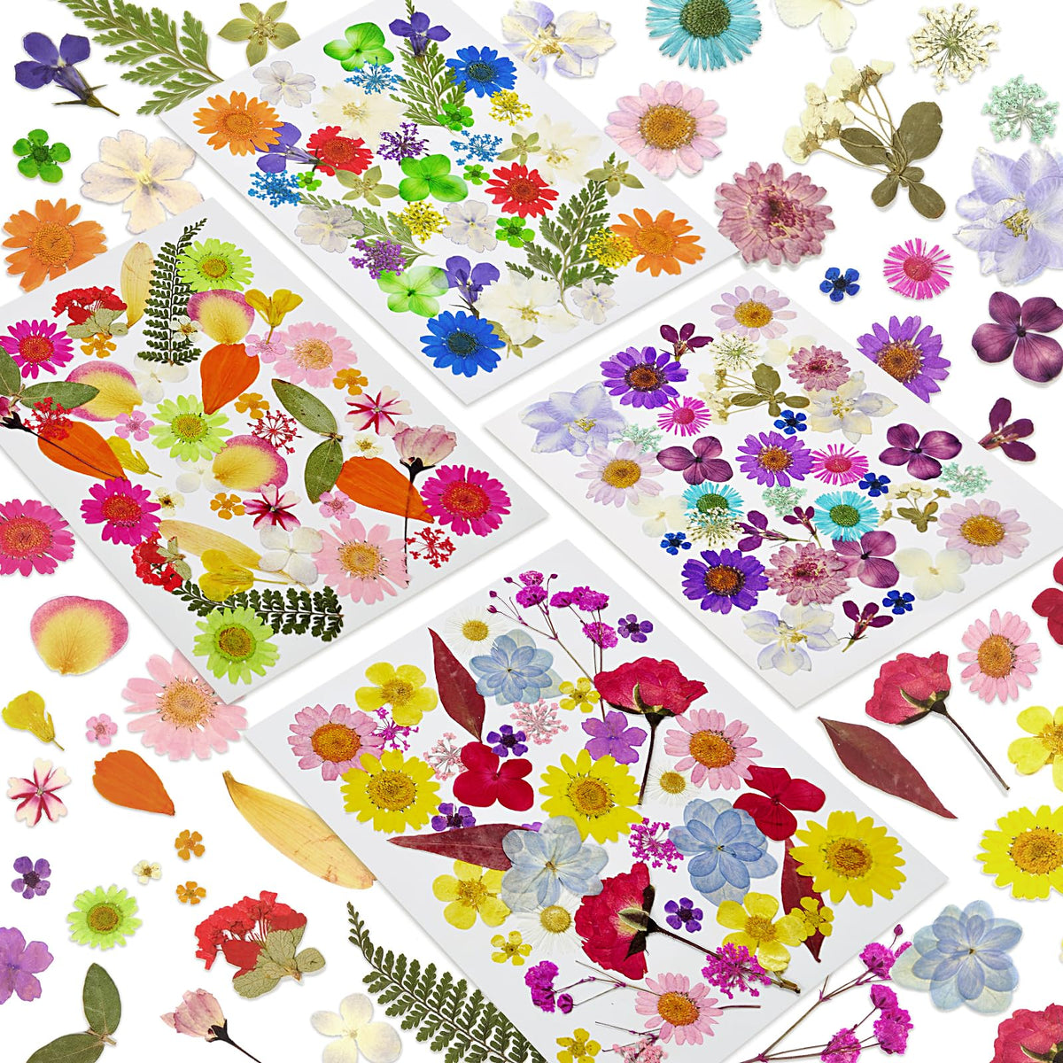 Dried Flowers for Resin, 106pcs Natural Flowers and Leaves Compressed