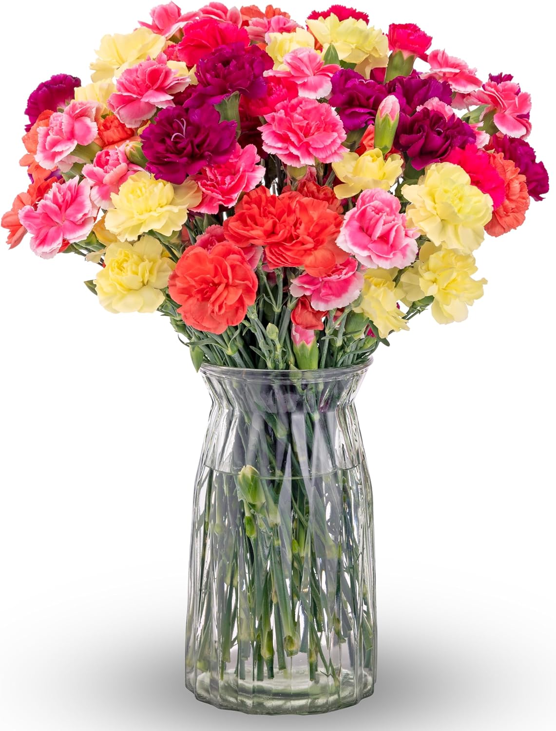 Benchmark Bouquets Mini Carnation Bouquet – Fresh Flowers for Delivery – Fall Flowers – Fresh Floral Arrangement – Gifts for Birthdays, Get Well, Just Because – Glass Vase Included