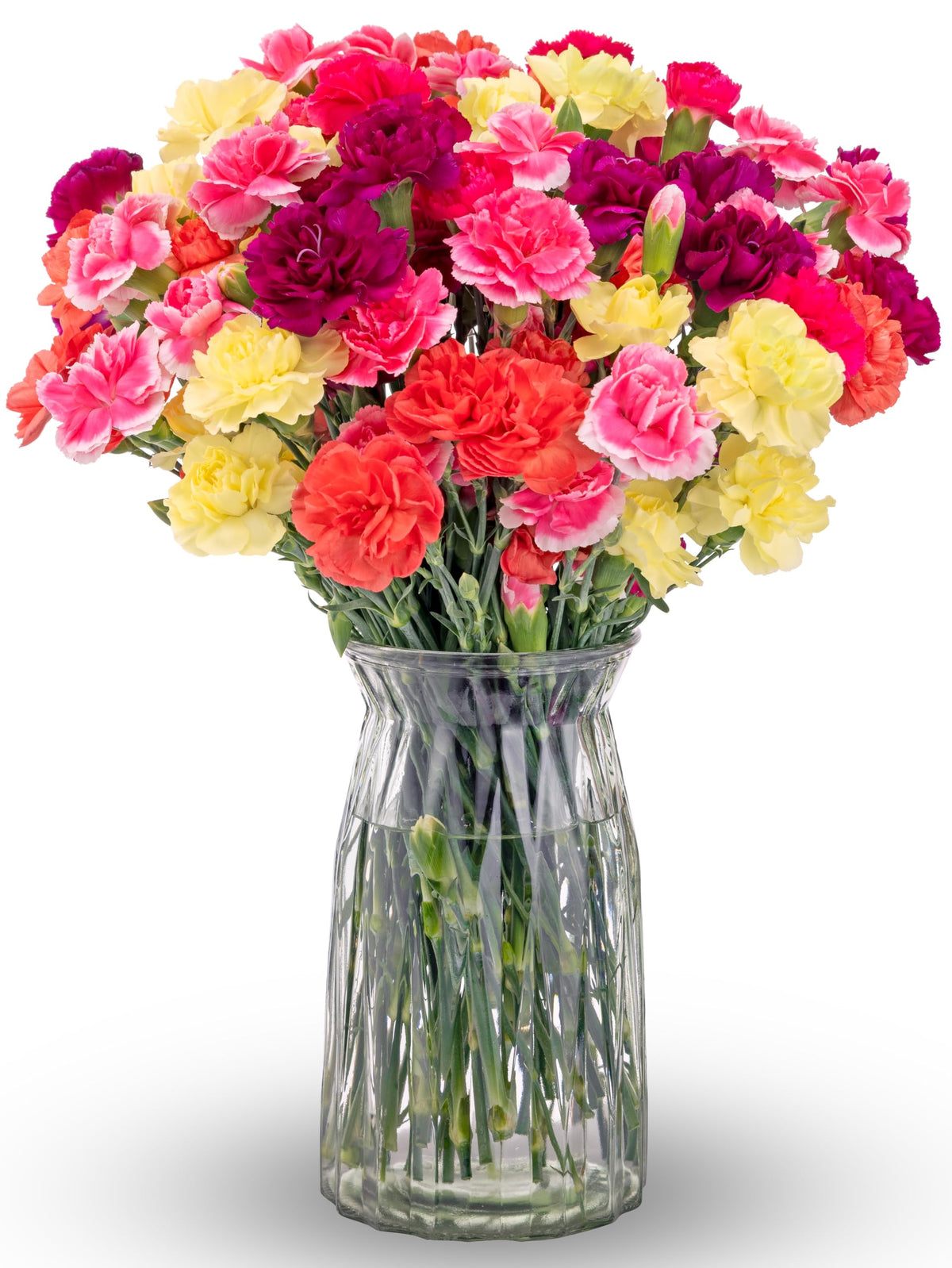 Benchmark Bouquets Mini Carnation Bouquet – Fresh Flowers for Delivery – Fall Flowers – Fresh Floral Arrangement – Gifts for Birthdays, Get Well, Just Because – Glass Vase Included