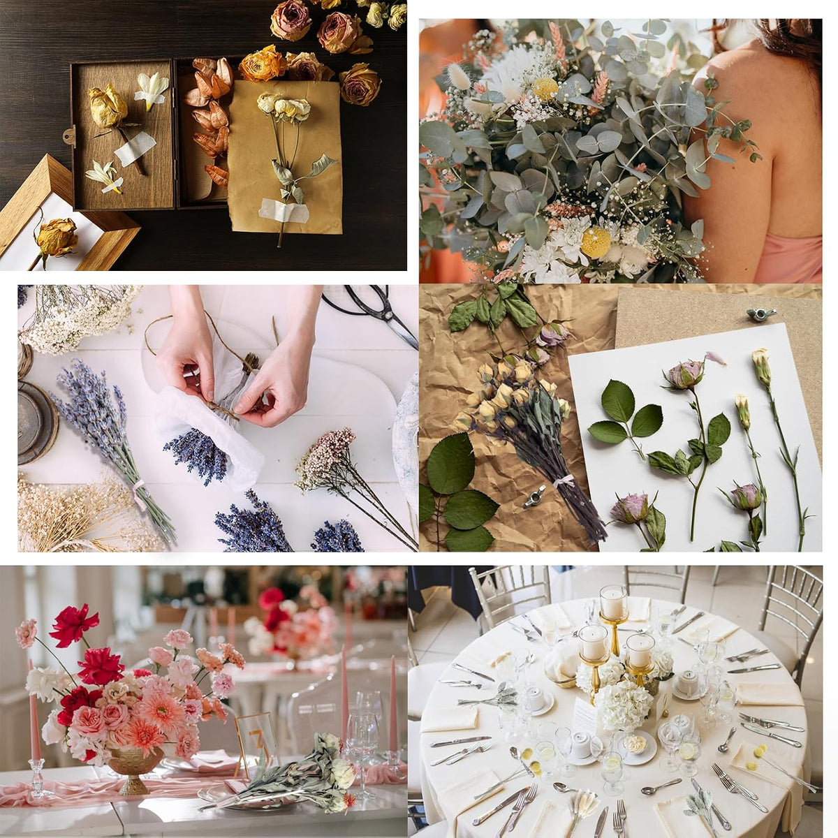 130Pcs Dried Flower Set, 12 Mixed Flowers for Floral Crafts & DIY Decor