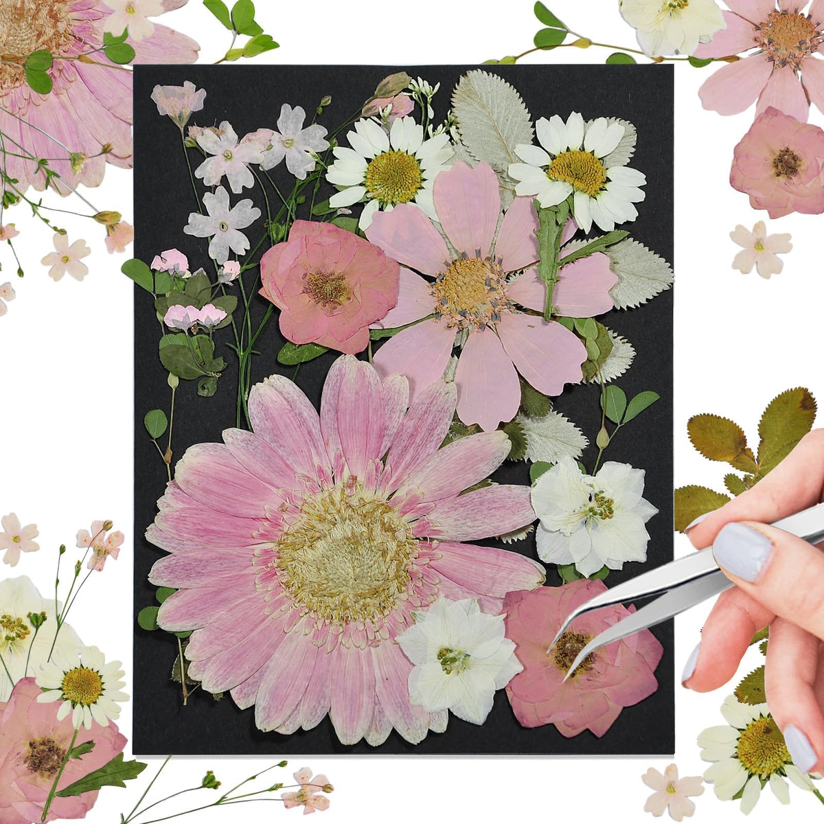Dried Flowers for Resin, 106pcs Natural Flowers and Leaves Compressed