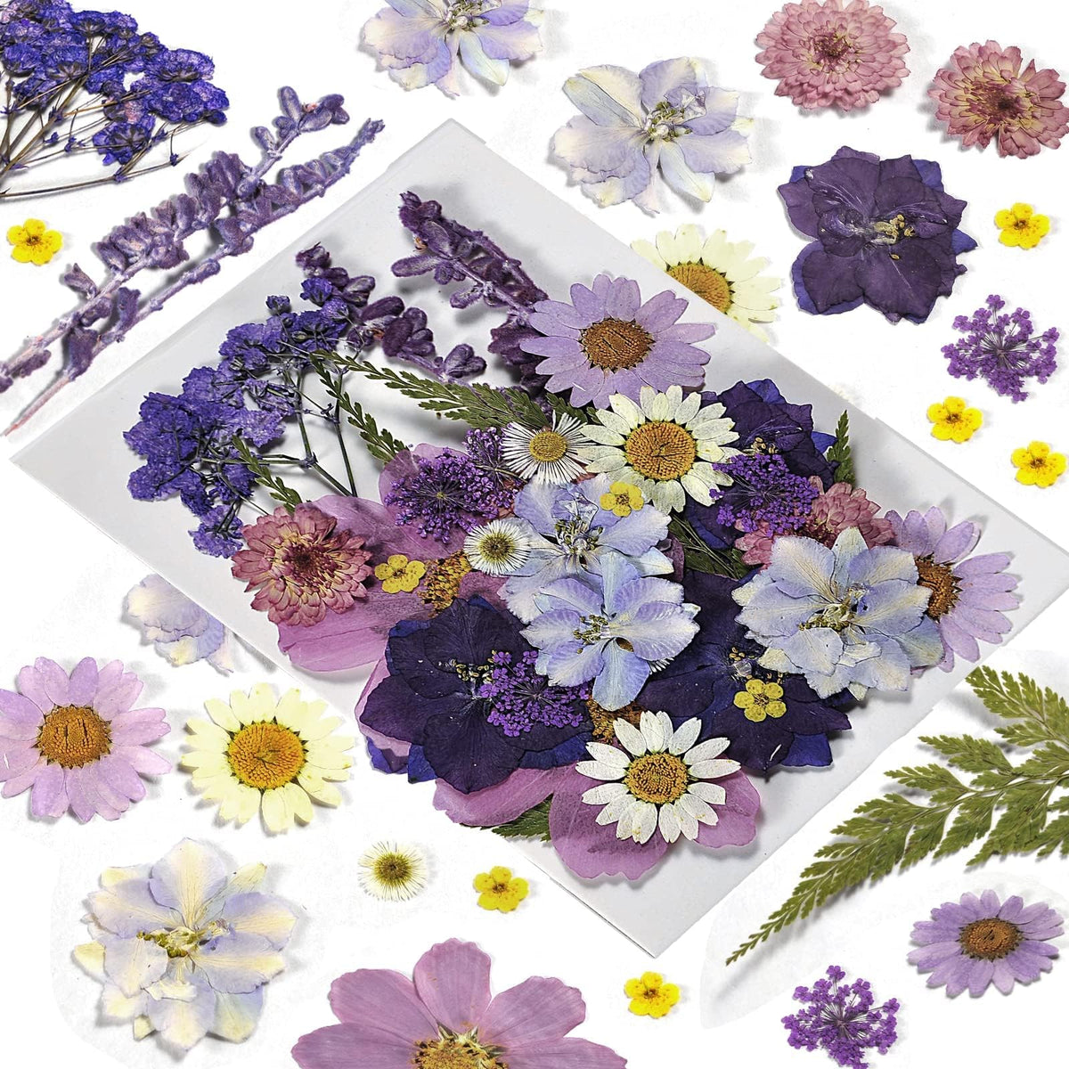 Dried Flowers for Resin, 106pcs Natural Flowers and Leaves Compressed