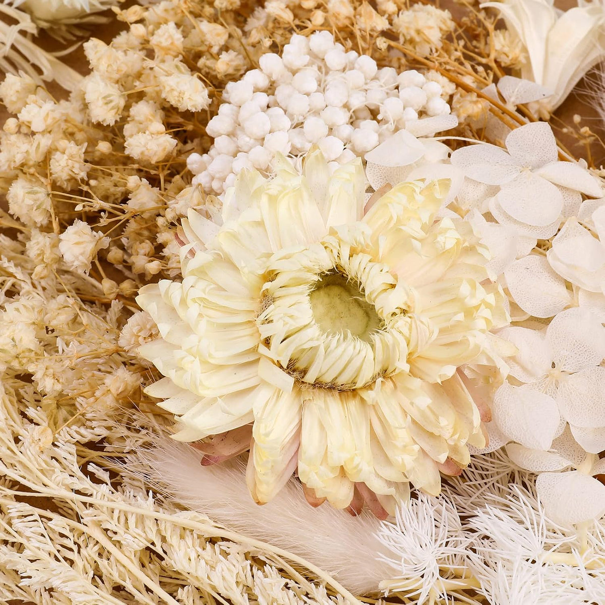 AhlsenL Real Natural Dried Flowers - Mixed Hydrangeas, Daisies, White Decorative for DIY Candle Resin Jewelry Nail Pendant Crafts (Beige)