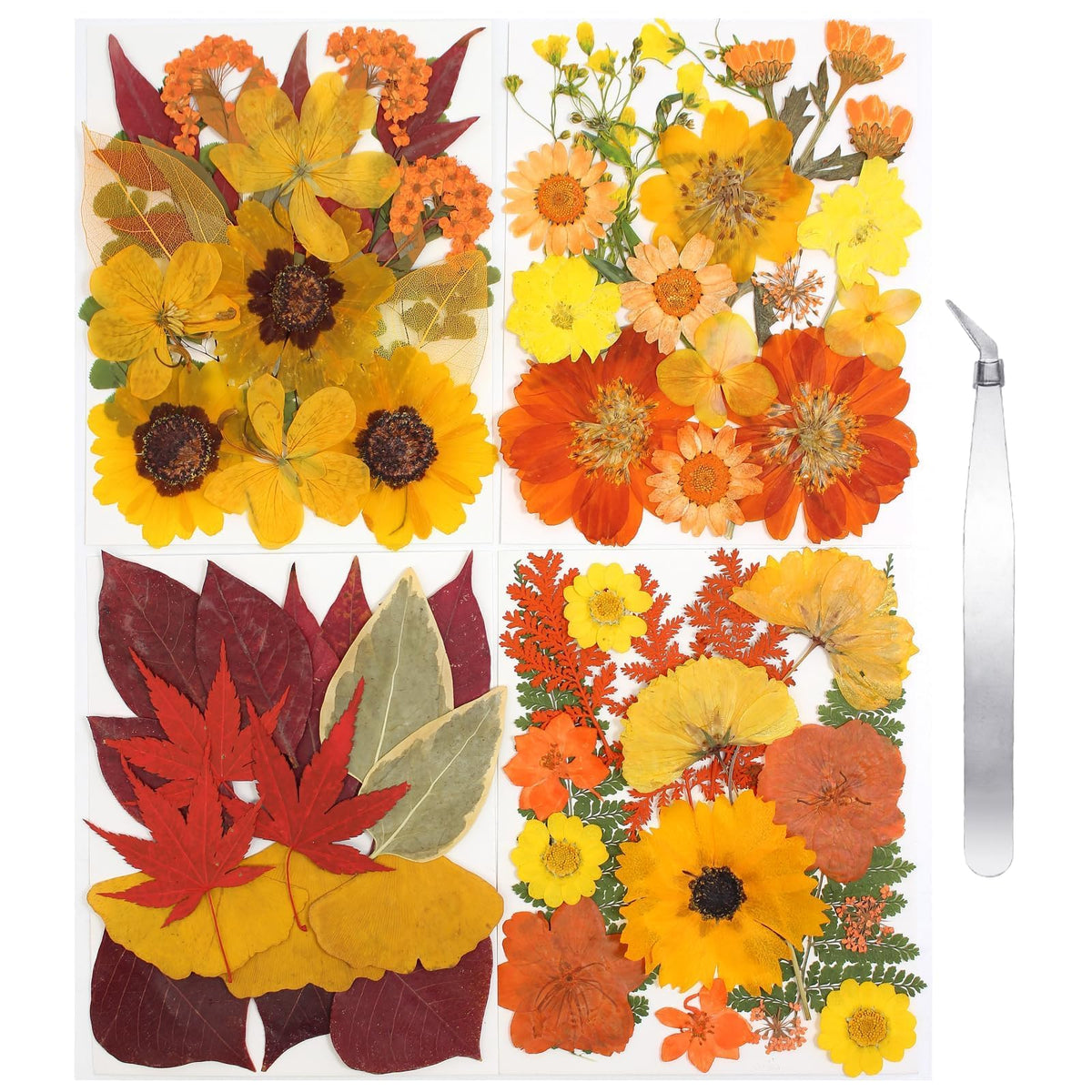 Dried Flowers for Resin, 106pcs Natural Flowers and Leaves Compressed