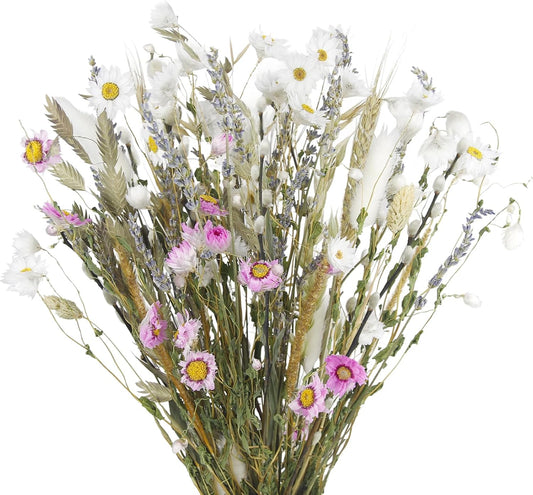 Dried Flowers Bouquet Natural Daisy Flower Dried Lavender Bunny Tails Gerber Daisies Wheat Stalks 17" Farmhouse Flowers for Rustic Boho Wedding Arrangements Home Centerpiece Decoration DIY