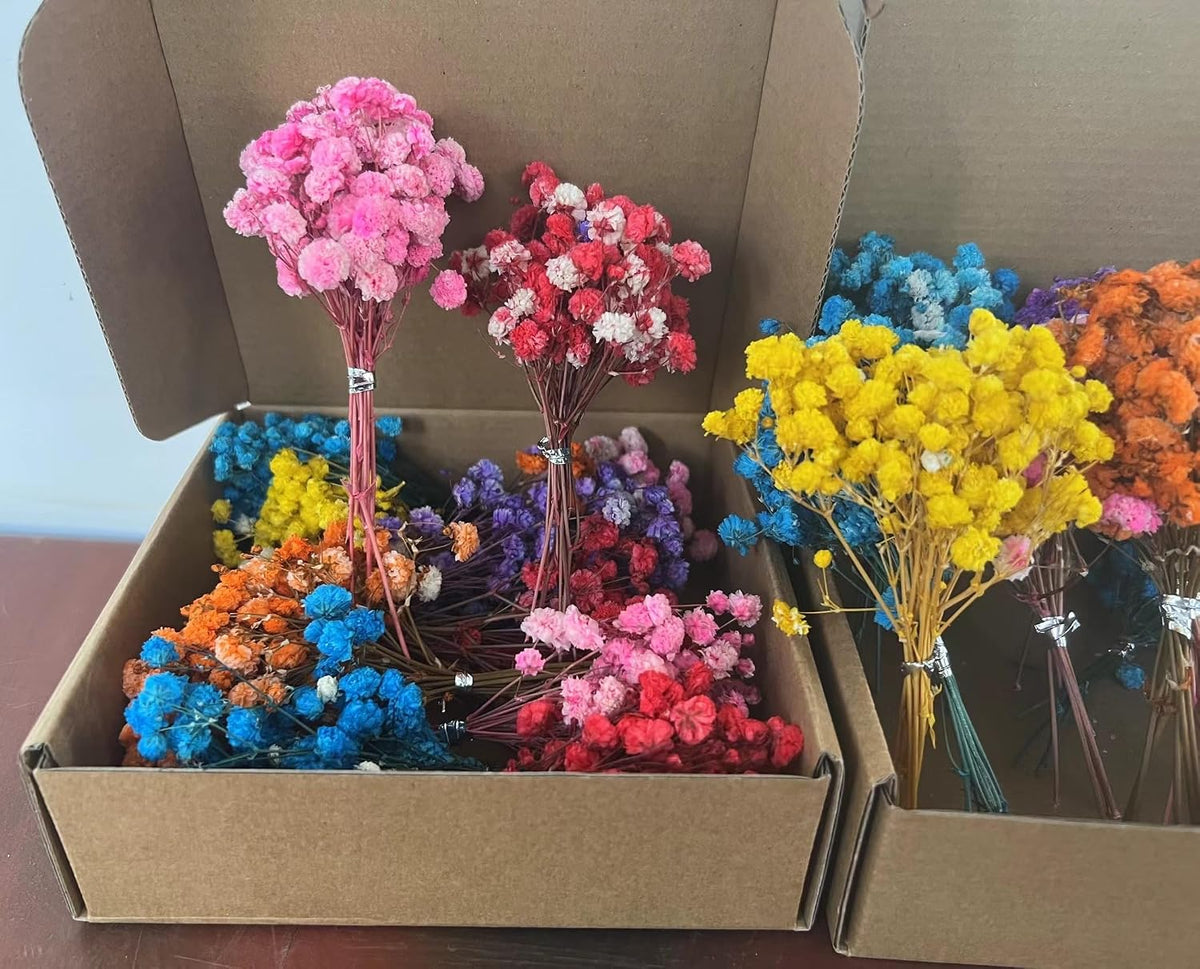 100+Pcs Mini Dried Babys Breath Flowers, 5600+ Multiple Colors Baby Breath Flowers Bulk, Dried Flower for Candle Making Invitation Resin Crafts, Gypsophila for Christmas Wedding Decor