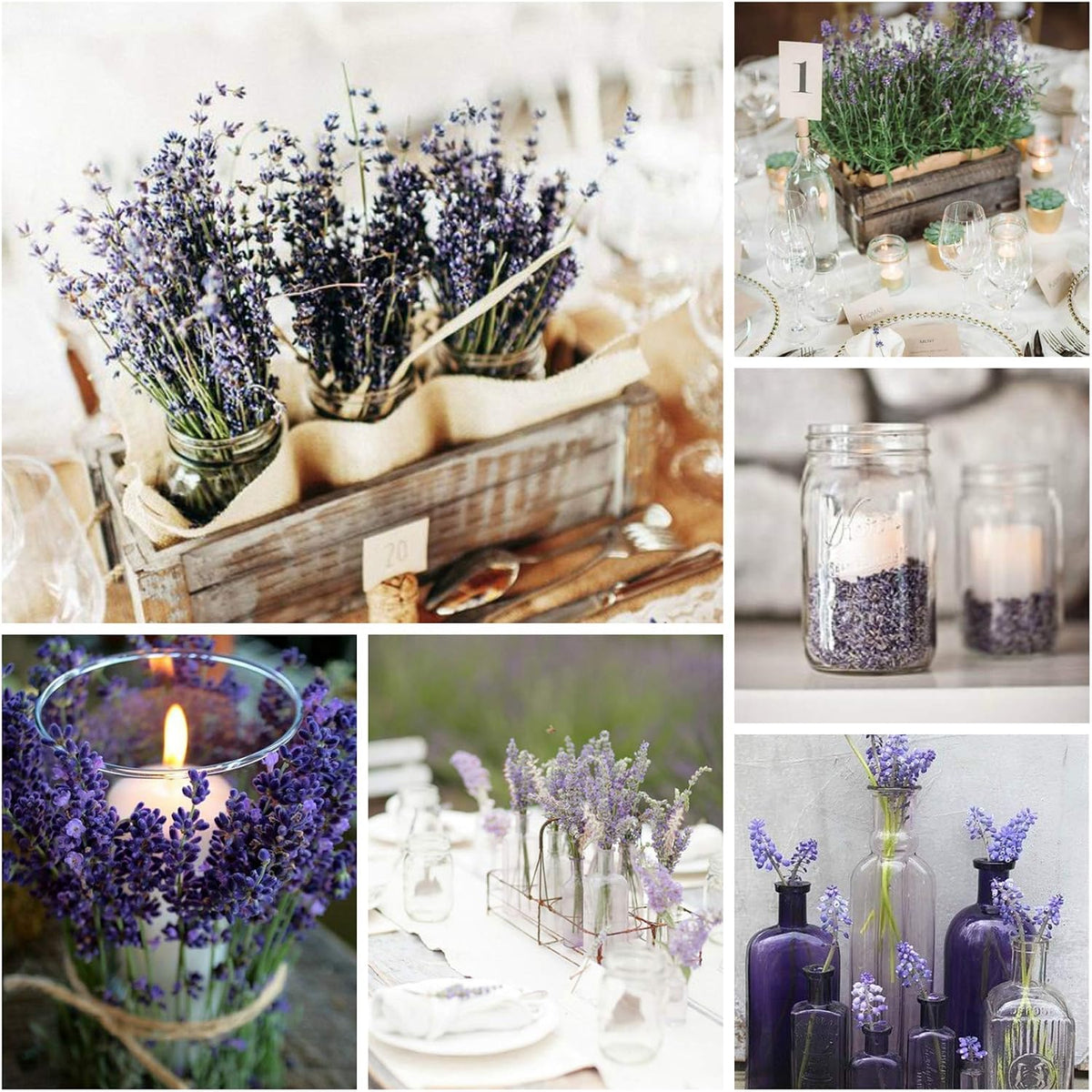 16 Inches Dried Lavender 2 Bunches Real Stems for Home Wedding Decoration