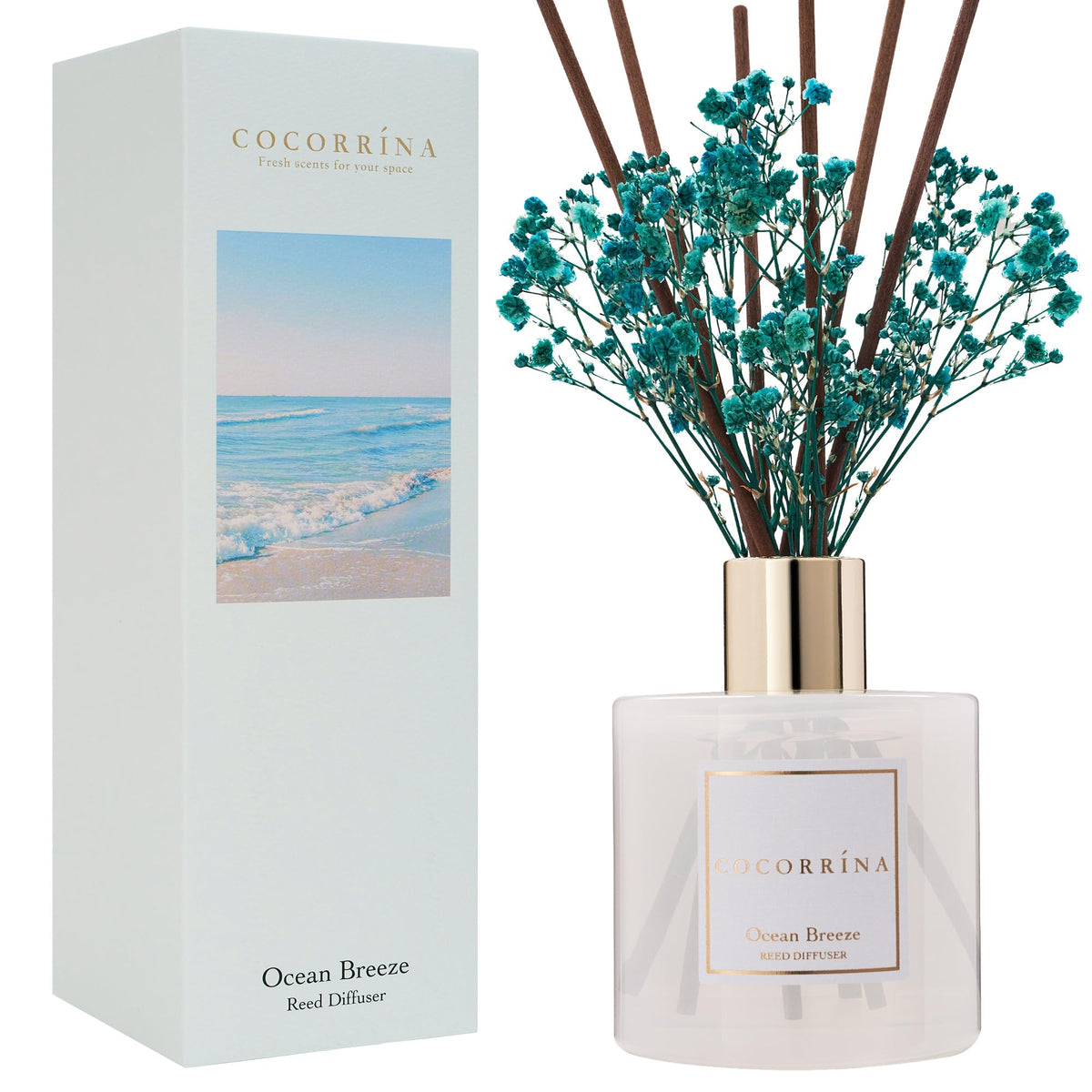 Cocorrína Premium Reed Diffuser Set with Preserved Baby's Breath & Cotton Stick Sandalwood Rose | 6.7oz Scent Fragrance Oil Diffuser for Bedroom Bathroom Home Décor
