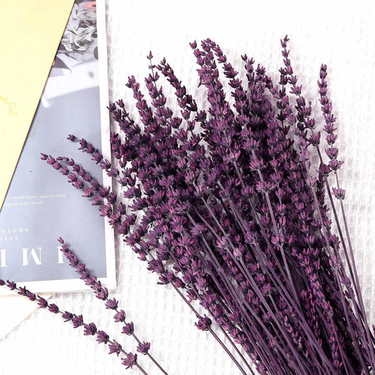 Dried Lavender Flowers, Preserved Purple Lavender Bundle, 15" -17" Natural Dried Flowers Bouquet for Wedding Vase Decor, Home Fragrance, Bathroom, Photo Props, Crafts, 70g (2.5oz)