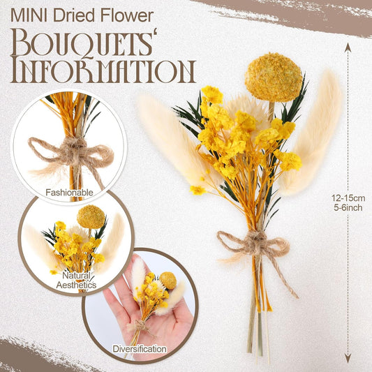 Nuanchu 10 Pcs Mini Dried Flower, Boho Bouquet for Crafts, Popular Styles