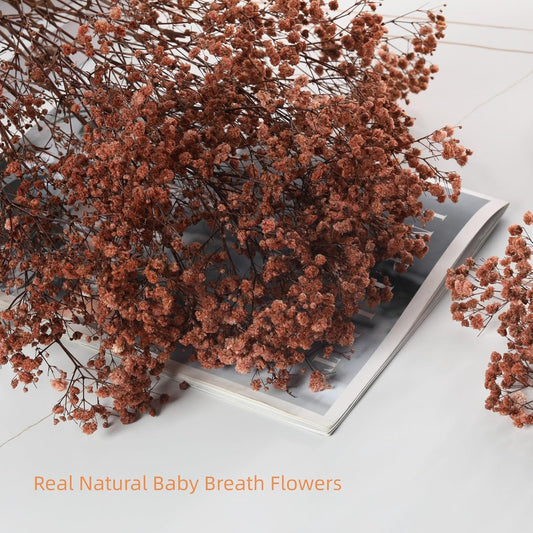 1800+ Babys Breath Dried Flowers Bouquet, 17" Brown for Fall Vase Decor
