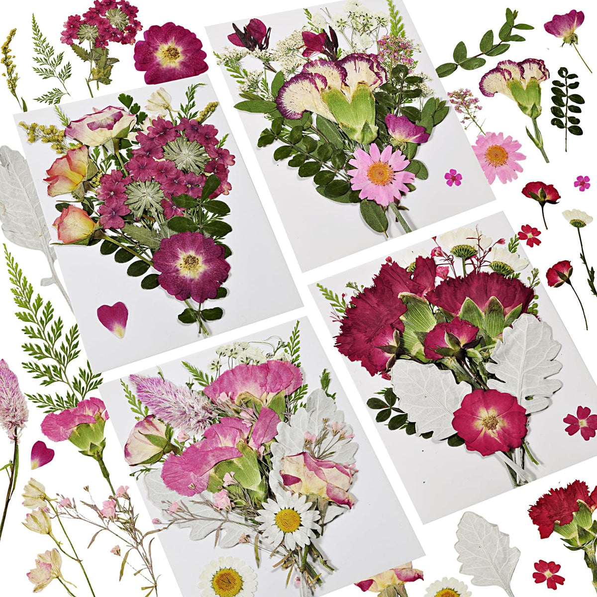 Dried Flowers for Resin, 106pcs Natural Flowers and Leaves Compressed