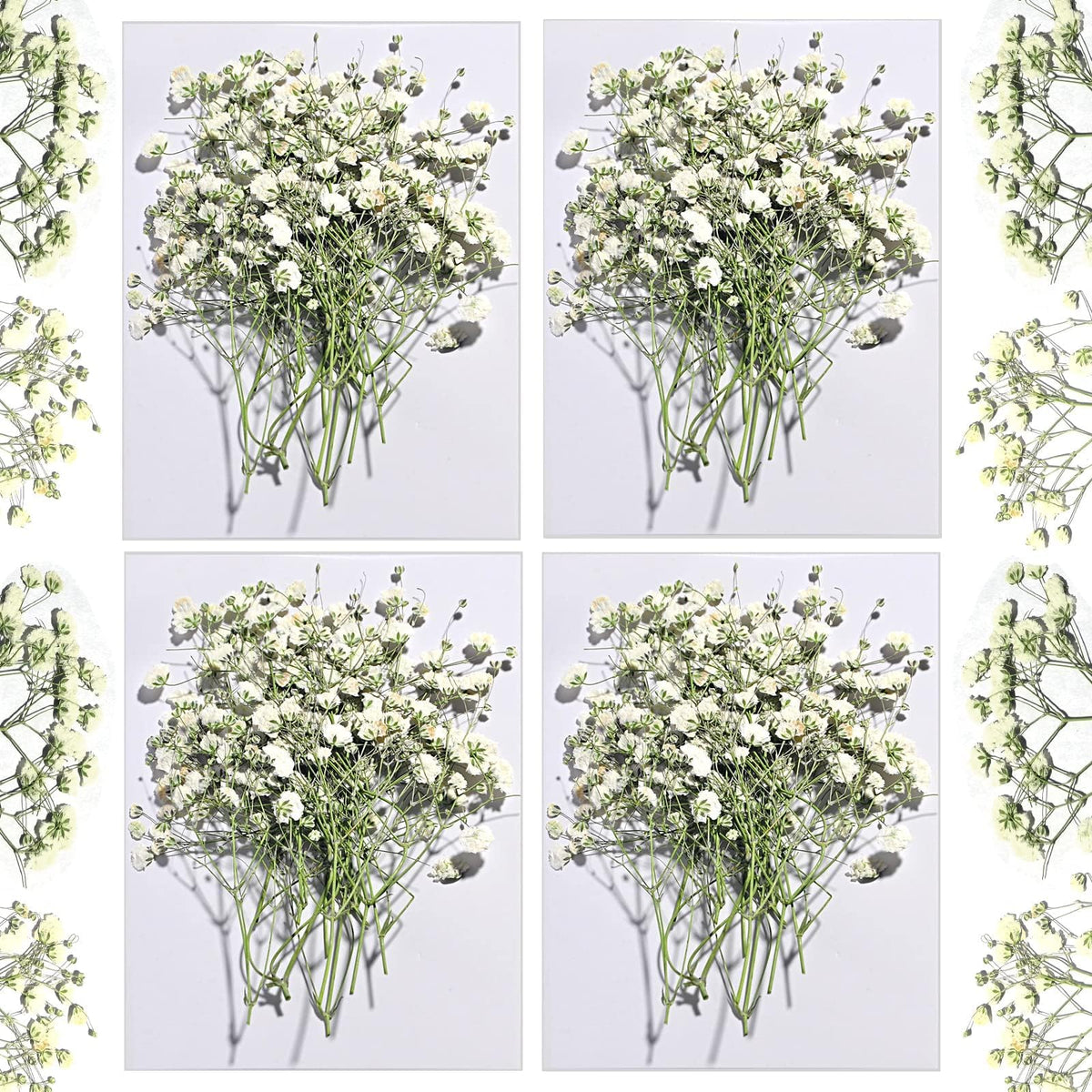 Dried Flowers for Resin, 106pcs Natural Flowers and Leaves Compressed