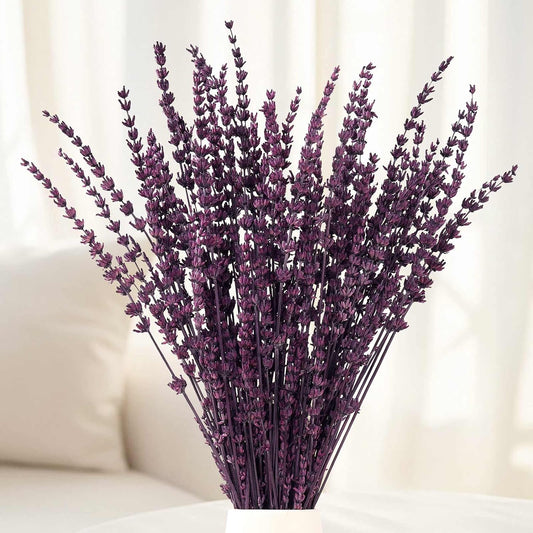 Dried Lavender Flowers, Preserved Purple Lavender Bundle, 15" -17" Natural Dried Flowers Bouquet for Wedding Vase Decor, Home Fragrance, Bathroom, Photo Props, Crafts, 70g (2.5oz)