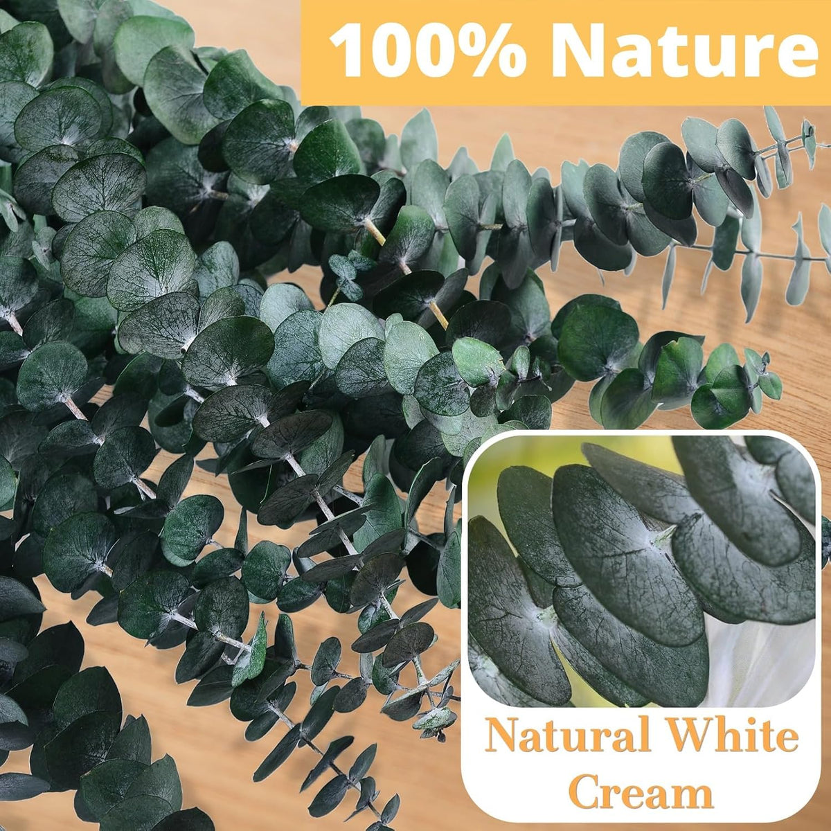12PCS Dried Eucalyptus for Shower Hanging Real Preserved Eucalyptus Stems