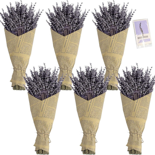TOMOON 6 Packs Natural Dried Lavender Flowers Bouquet with Stems
