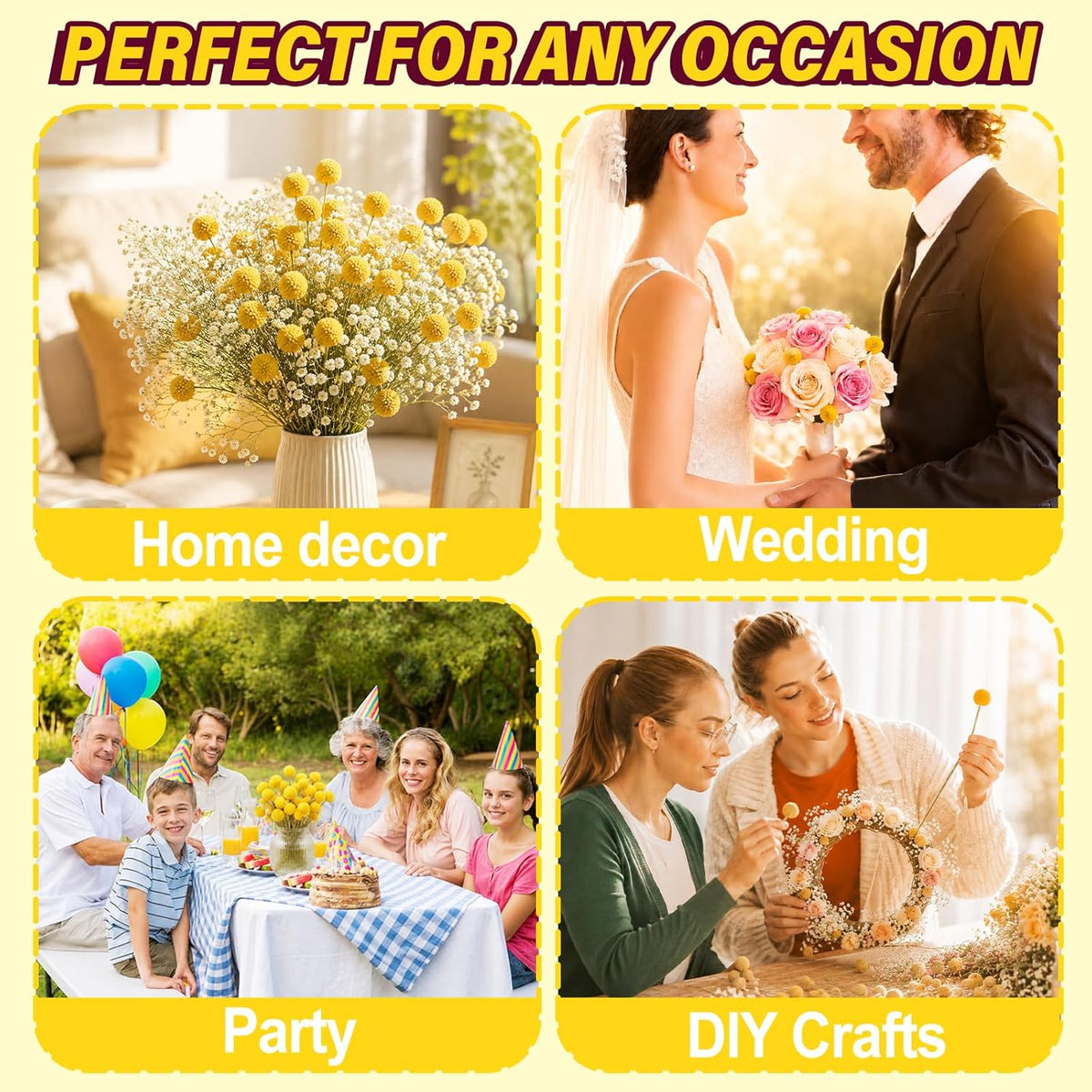 40pcs Dried Billy Balls Flowers for Wedding Decor & Floral Displays