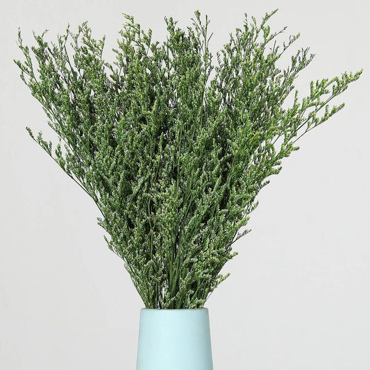 Dried Flower Bouquet, 17'' Dry Green Caspia Flowers Bundle for Vase Decor