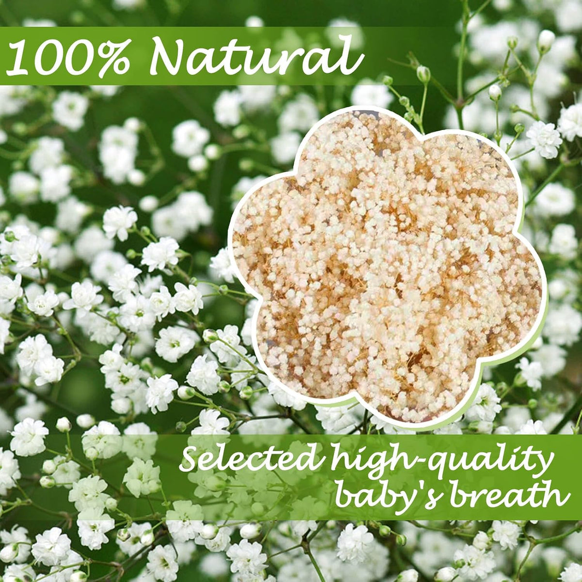2500+ Dried Babys Breath Flowers Bulk, 17'' Ivory White Gypsophila Bouquet