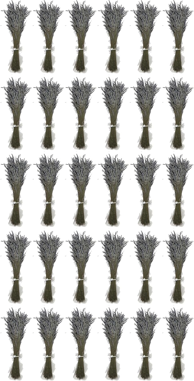 Kaze Home Natural Dried Lavender Flower Bundle Grosso Bulk Bunches | 3000 Stems, 23 inch Extra Long, 8 lb | Home Decoration, Fragrance, Bouquet Weddin