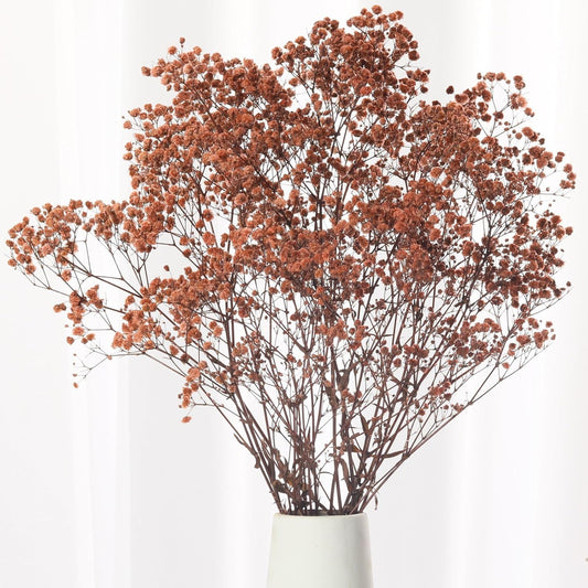 1800+ Babys Breath Dried Flowers Bouquet, 17" Brown for Fall Vase Decor