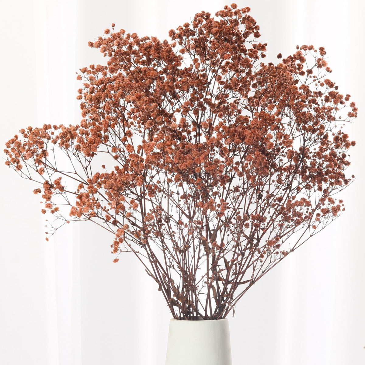 1800+ Babys Breath Dried Flowers Bouquet, 17" Brown for Fall Vase Decor