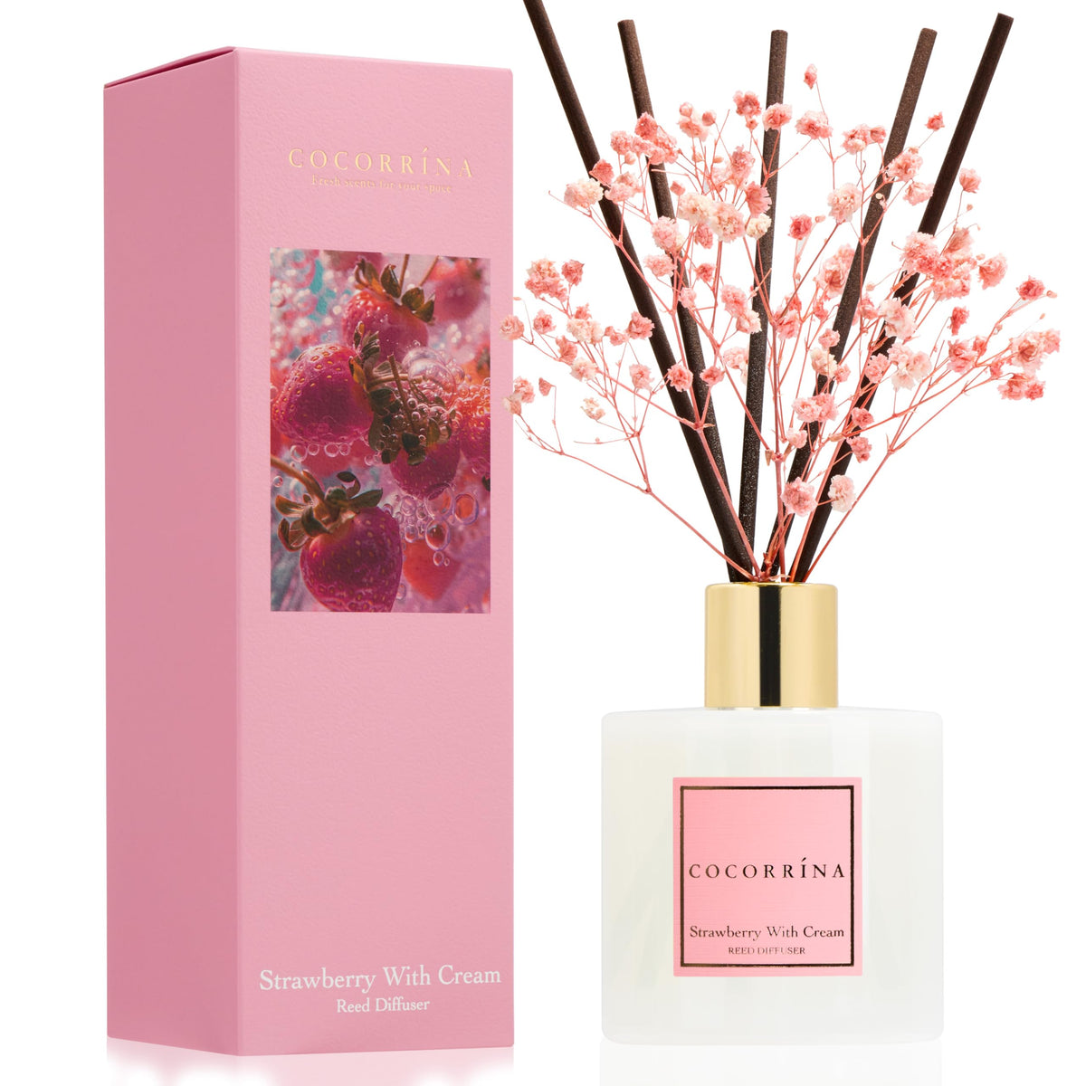 Cocorrína Premium Reed Diffuser Set with Preserved Baby's Breath & Cotton Stick Sandalwood Rose | 6.7oz Scent Fragrance Oil Diffuser for Bedroom Bathroom Home Décor