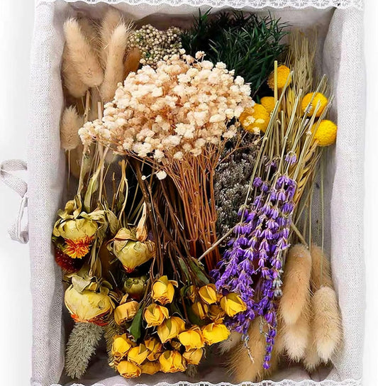 130Pcs Dried Flower Set, 12 Mixed Flowers for Floral Crafts & DIY Decor
