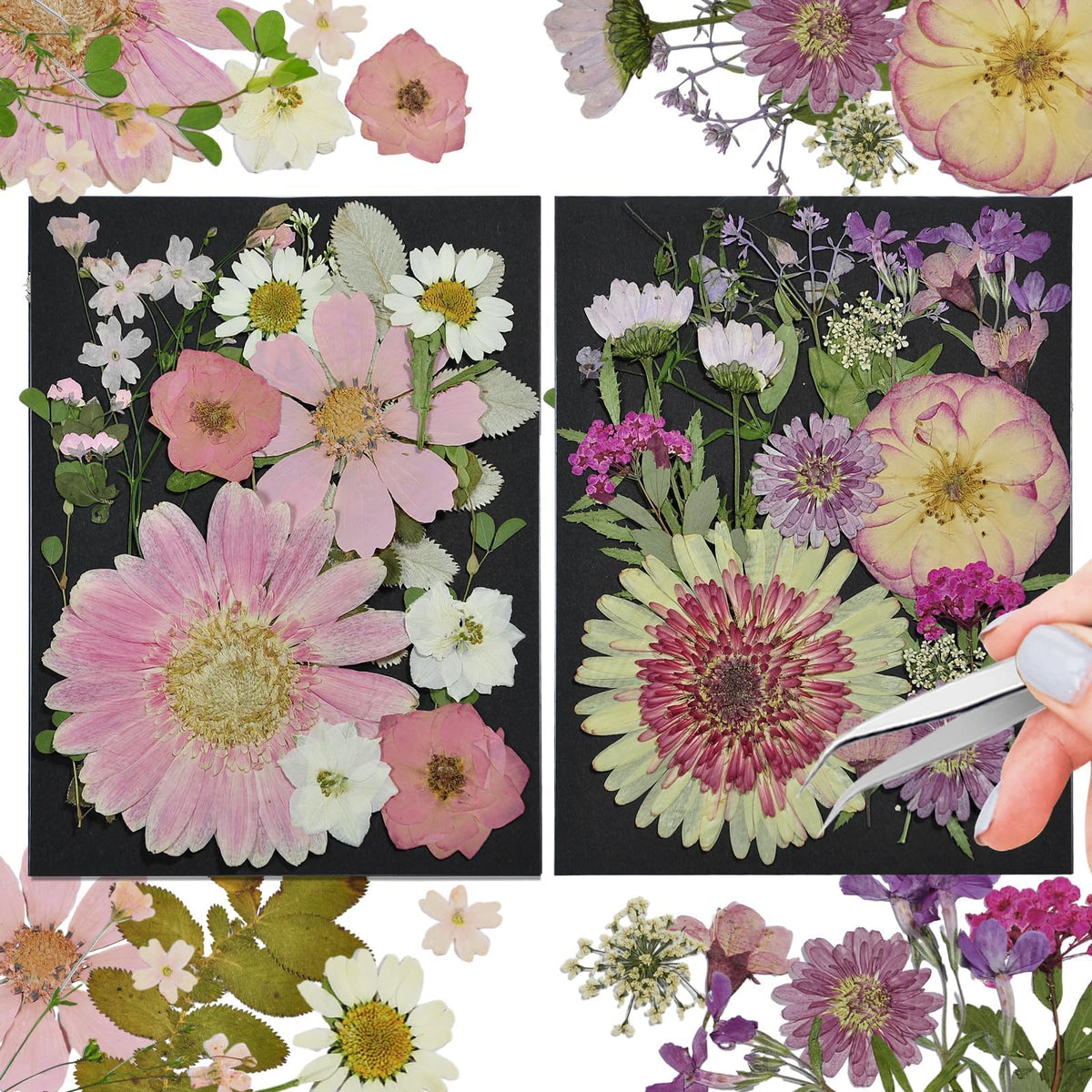 Dried Flowers for Resin, 106pcs Natural Flowers and Leaves Compressed