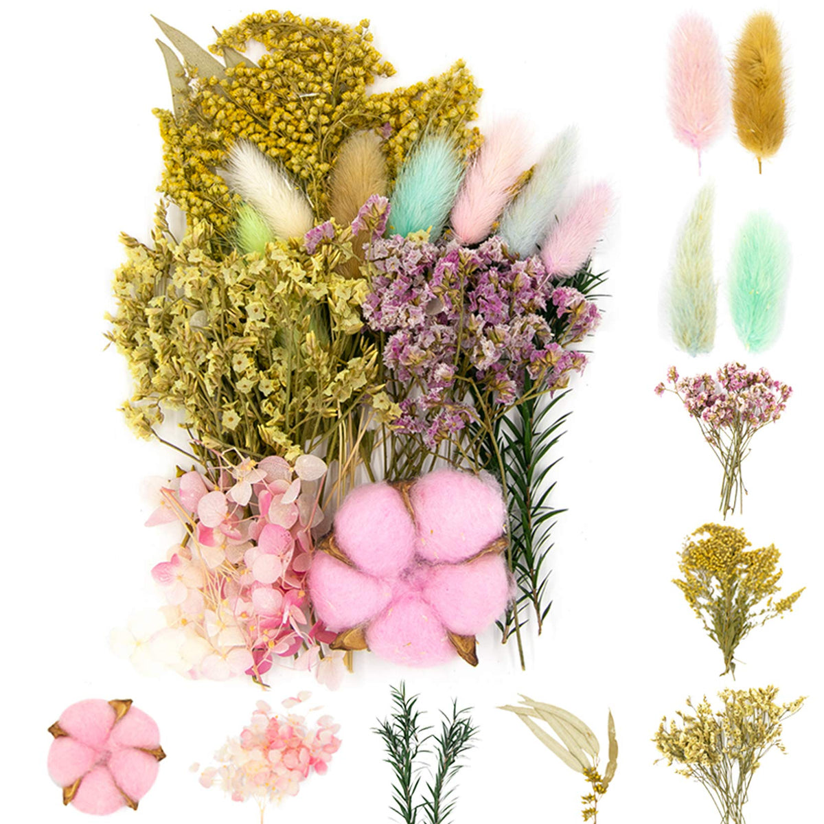 Vignee Real Dried Pressed Leaf Flowers-Multiple Colorful Pressed Flowers Daisies for Craft Resin Jewelry Making Art Craft DIY（Violet）