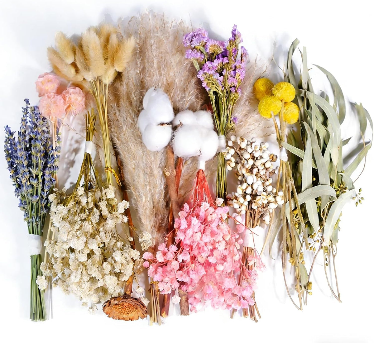 12 Kinds Natural Dried Flower Set, Bulk Dried Flowers for Vase,Mini Dried Flower Bouquets,Dried Flowers with Stems for DIY Crafts, Vase Decor,Home/Wedding/Birthday Decor(8.7-13.8in Flexible Stems)