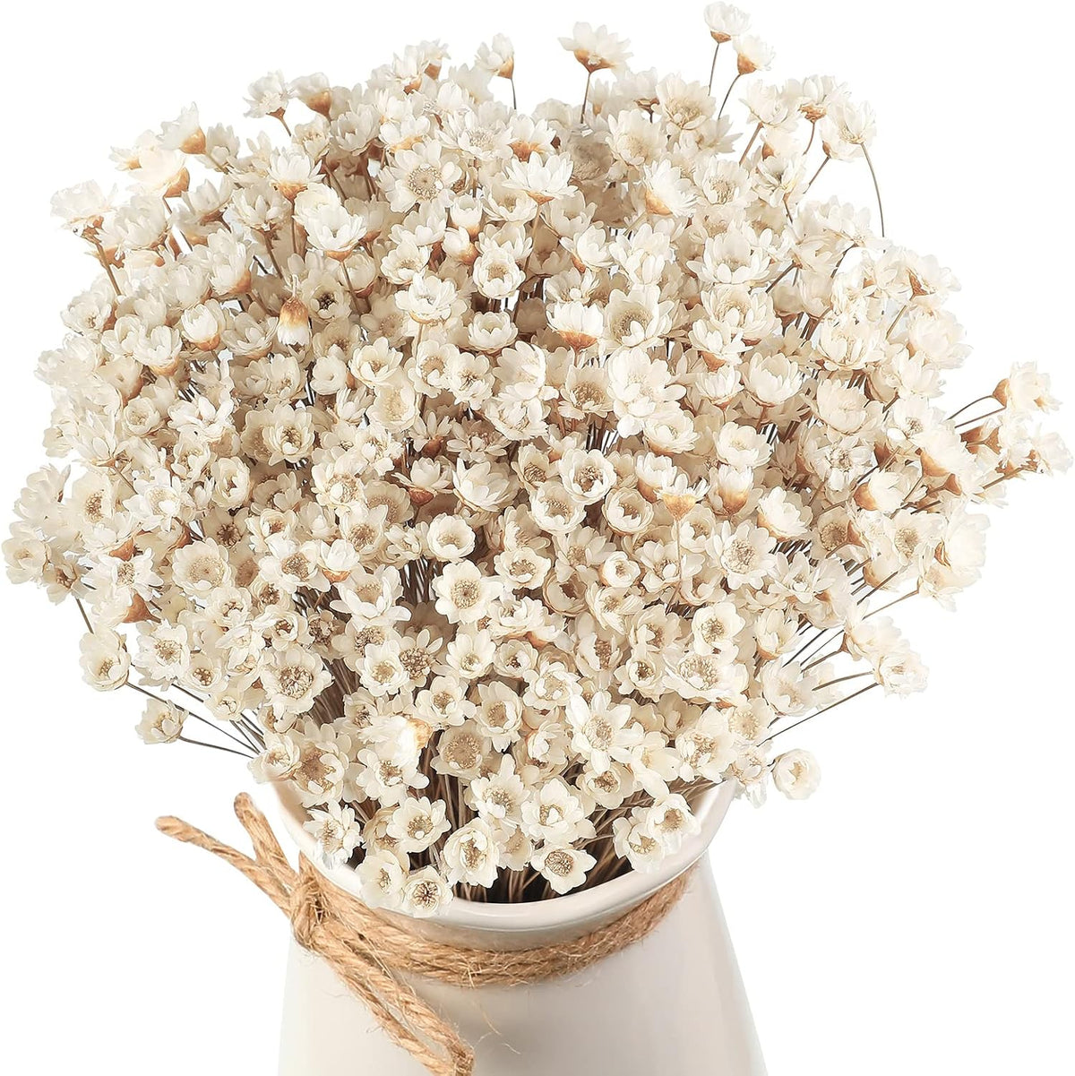 500 Pcs Mini Natural Dry Chamomile Flowers Decoration
