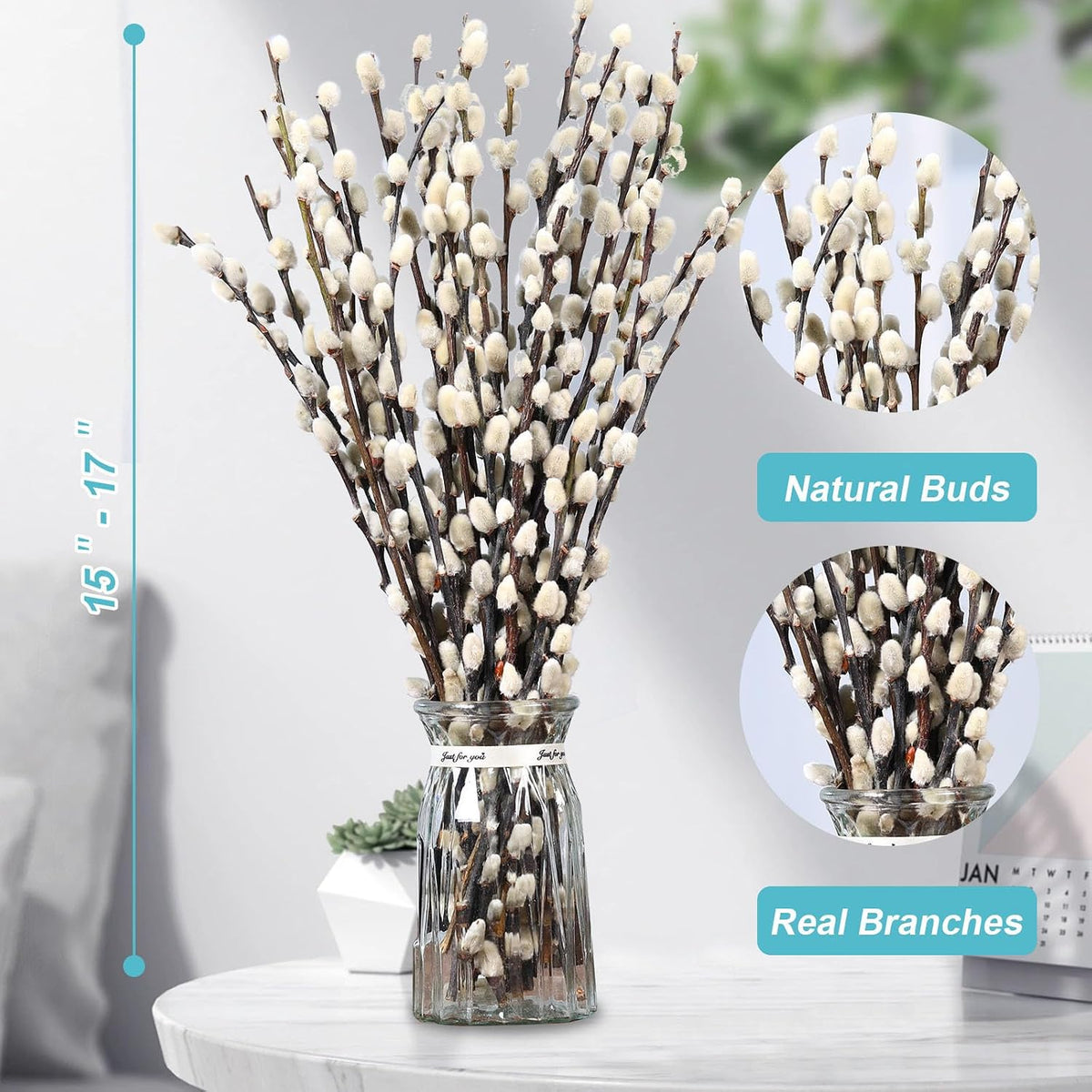 25 Stems Preserved PussyWillow, 17" White for Wedding Home & Fireplace