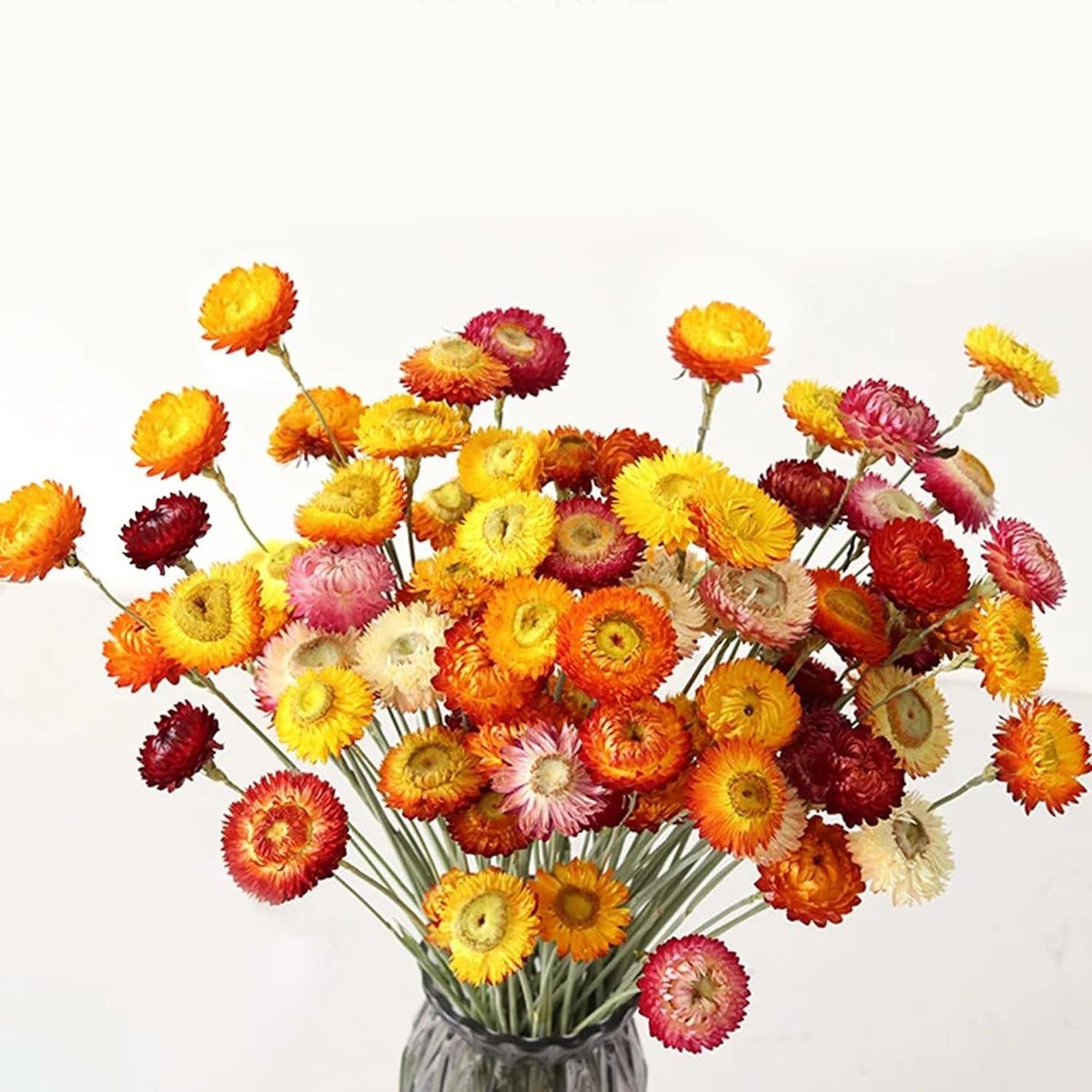 24 Pcs Dried Straw Flowers Daisy, Natural Orange Helichrysum Bouquet