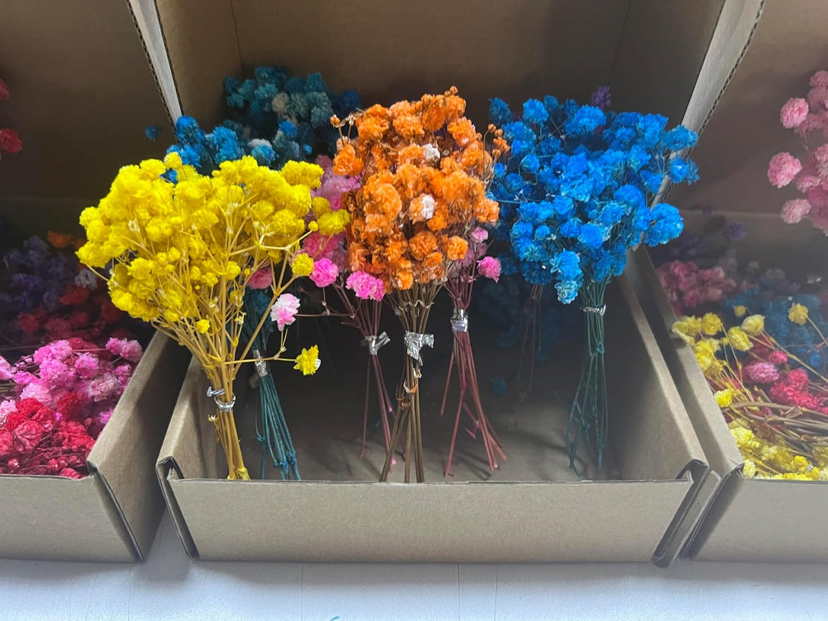 100+Pcs Mini Dried Babys Breath Flowers, 5600+ Multiple Colors Baby Breath Flowers Bulk, Dried Flower for Candle Making Invitation Resin Crafts, Gypsophila for Christmas Wedding Decor