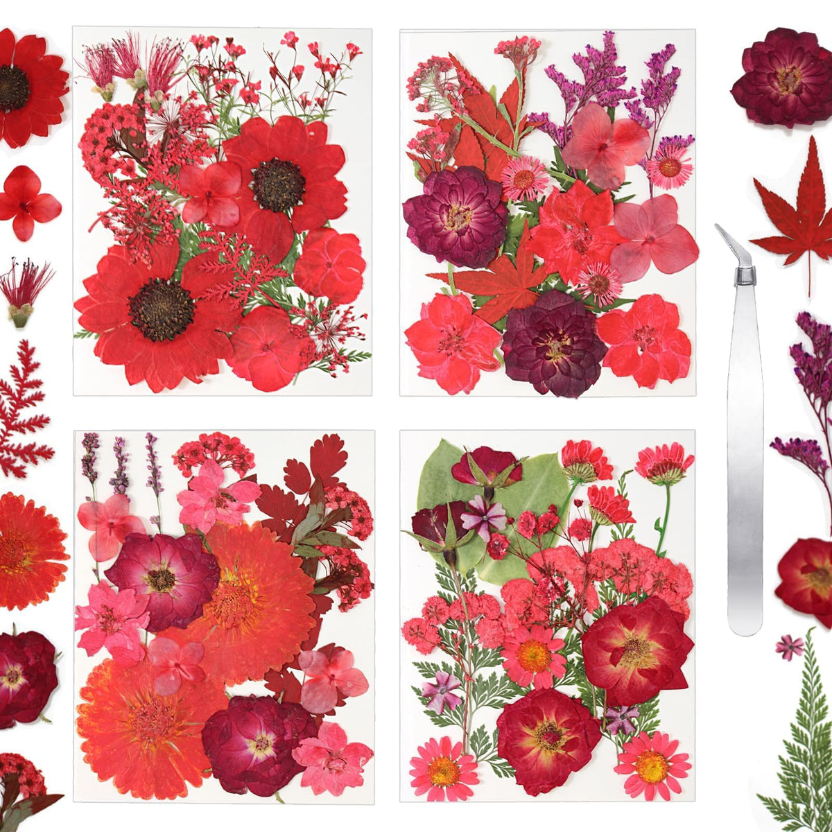 Dried Flowers for Resin, 106pcs Natural Flowers and Leaves Compressed