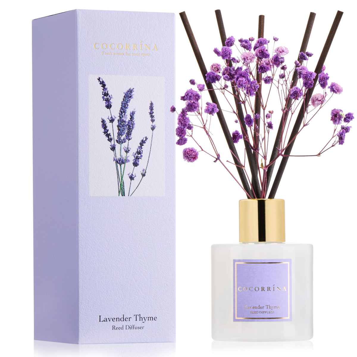 Cocorrína Premium Reed Diffuser Set with Preserved Baby's Breath & Cotton Stick Sandalwood Rose | 6.7oz Scent Fragrance Oil Diffuser for Bedroom Bathroom Home Décor