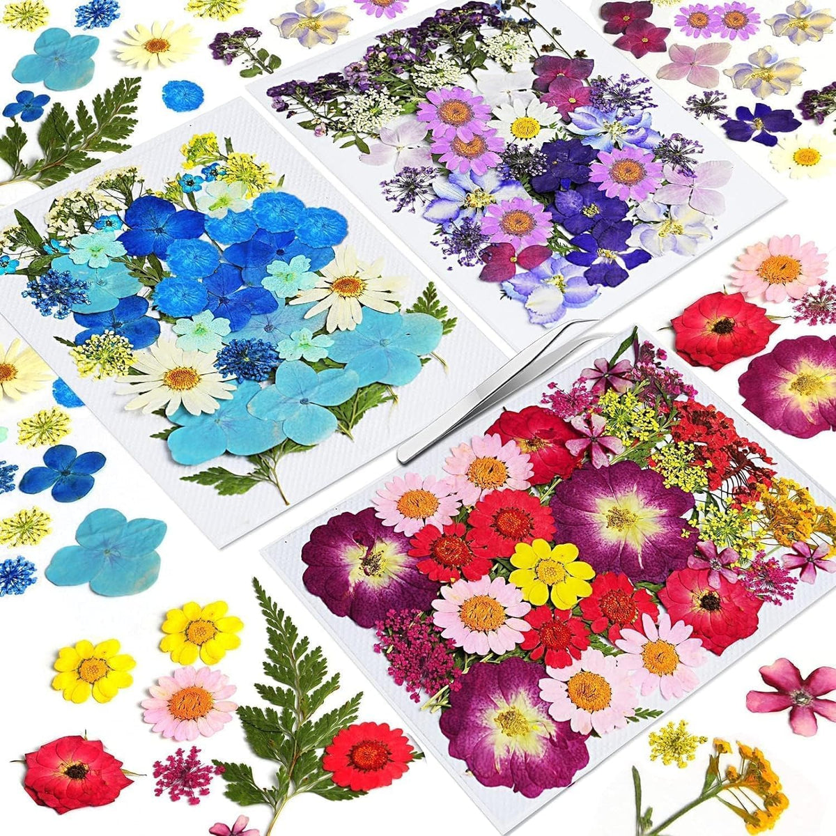 Dried Flowers for Resin, 106pcs Natural Flowers and Leaves Compressed