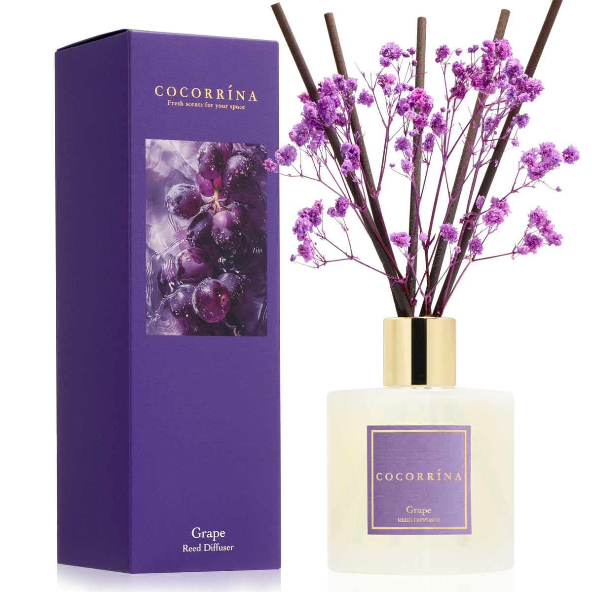 Cocorrína Premium Reed Diffuser Set with Preserved Baby's Breath & Cotton Stick Sandalwood Rose | 6.7oz Scent Fragrance Oil Diffuser for Bedroom Bathroom Home Décor