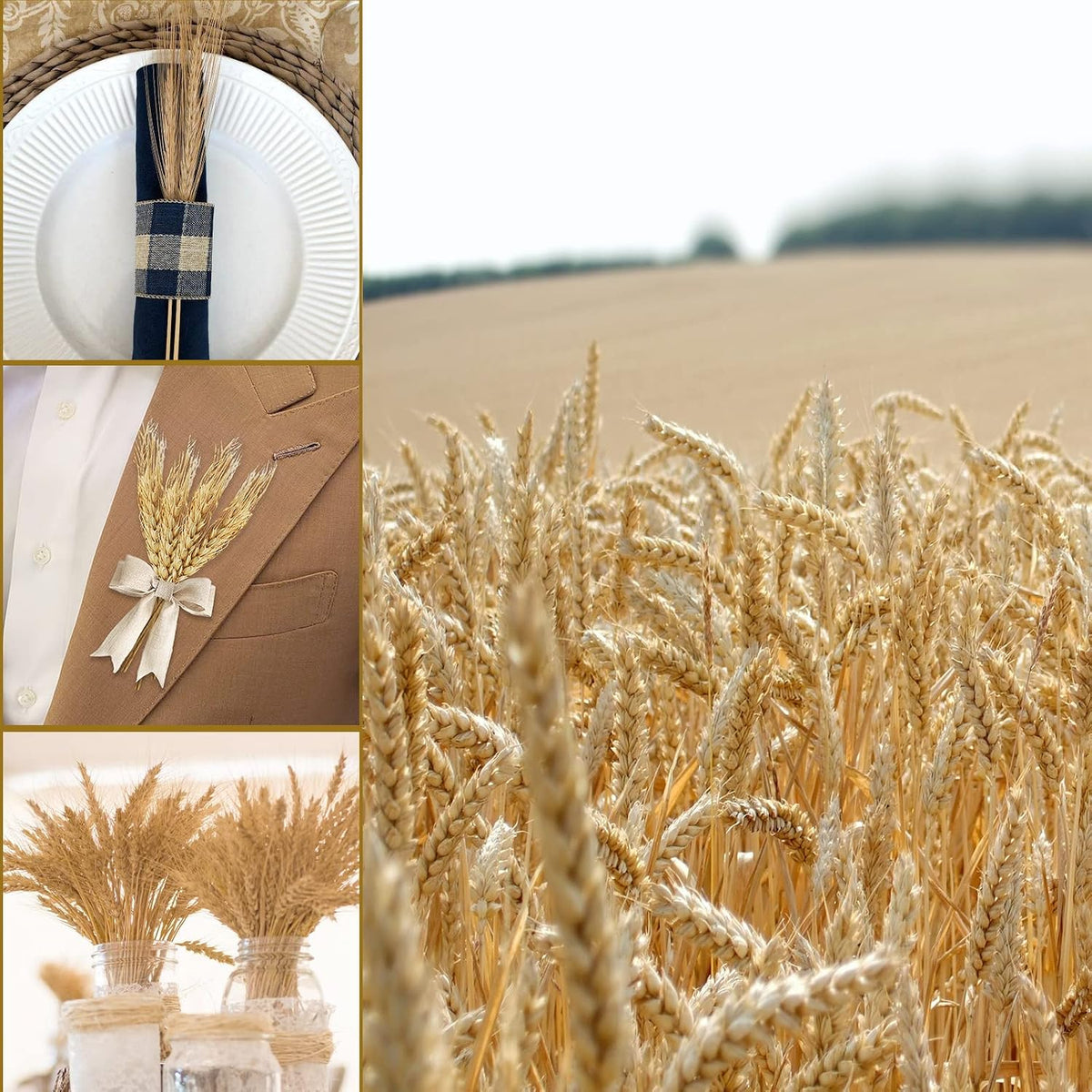 Uieke 17.7 Inches Dried Wheat Stalks, 100 Stems Dried Flowers 100% Natural Wheat for Home Kitchen Wedding Party Table Centerpiece Harvest Wreath Boho Farmhouse DIY Decoration