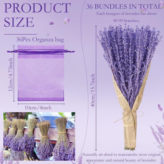 Yunlly 36 Bunches Dried Lavender Bundles 15.7 Inch Natural Dried Lavender Flowers 1440-1620 Stems Total for Wedding Decoration, Flower Arrangements DIY Crafts Photo Props Home Fragrance Gift for Her