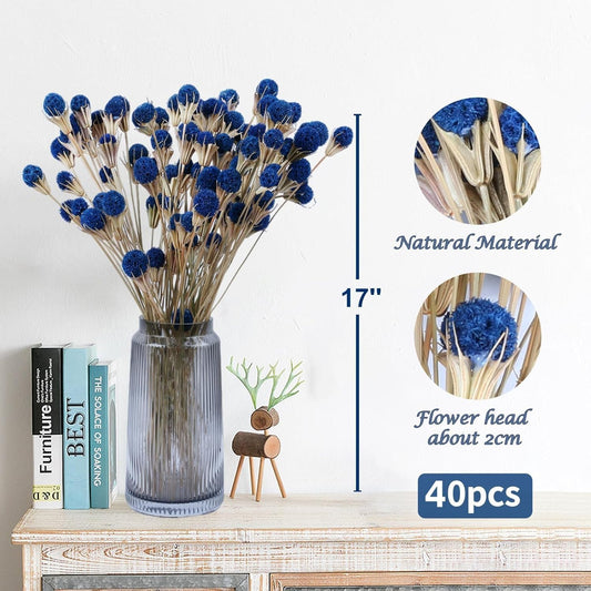 40 Pcs Blue Dried Thistle Flowers, Natural 17" Floral Bouquet