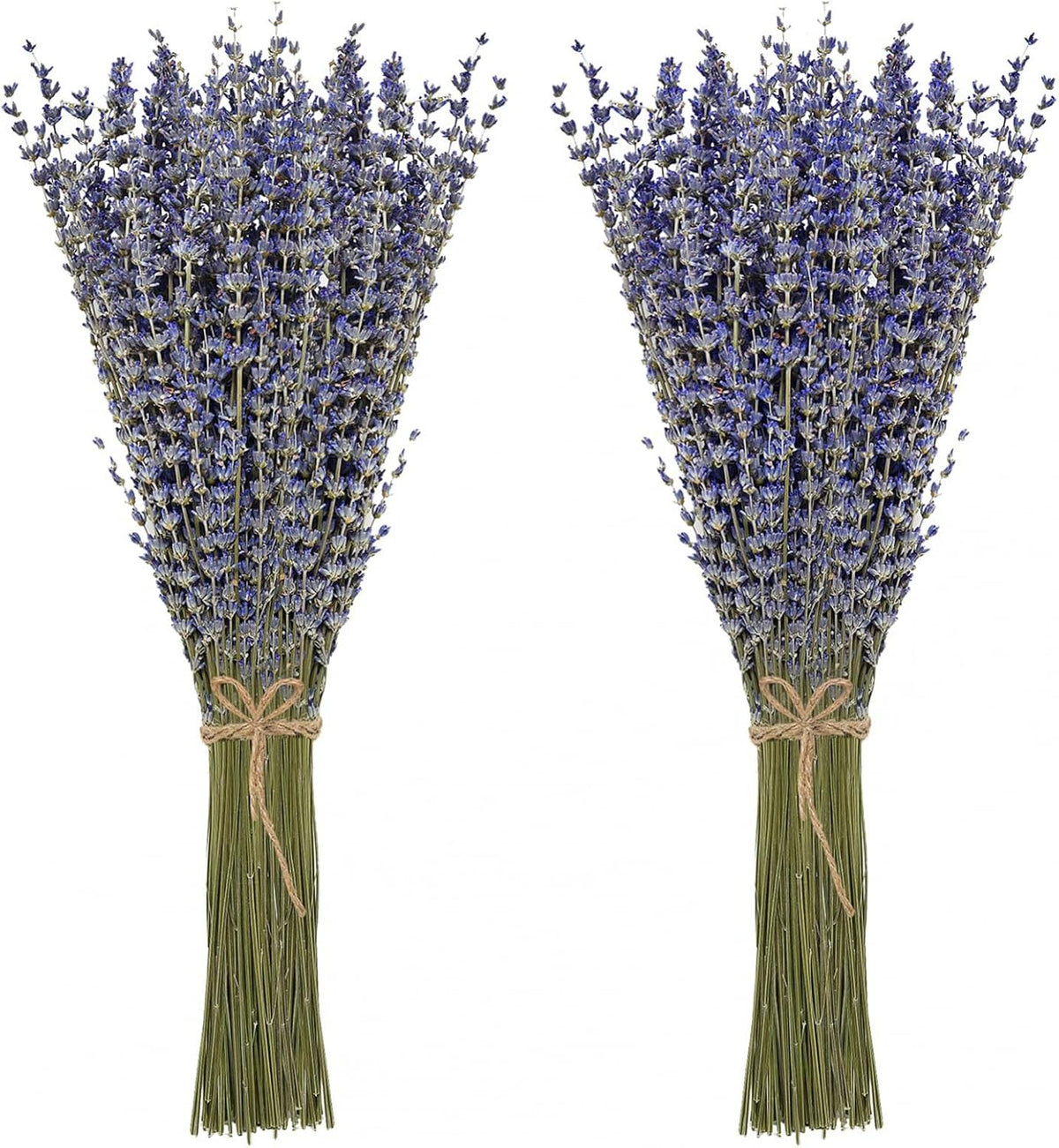 Timoo Dried Lavender Bundles 100 Natural Dried Lavender Flowers for Home Decoration, Photo Props, Home Fragrance, 2 Bundles Pack