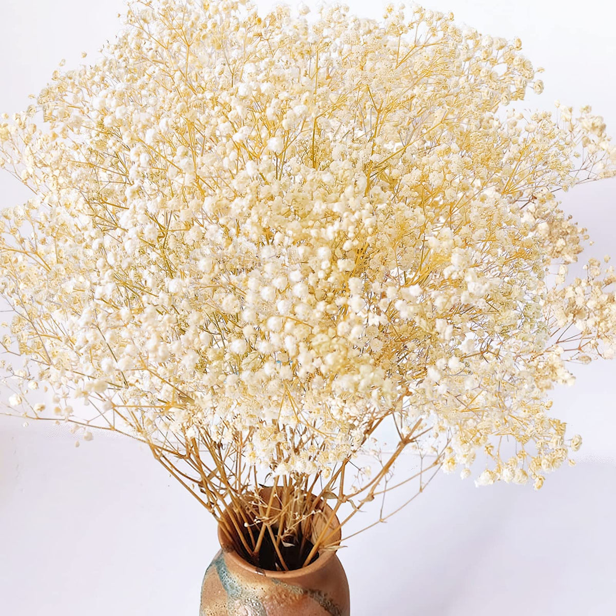 Dried Baby's Breath Flowers, 3 oz, 17.2 in, Ivory White Gypsophila Bouquet