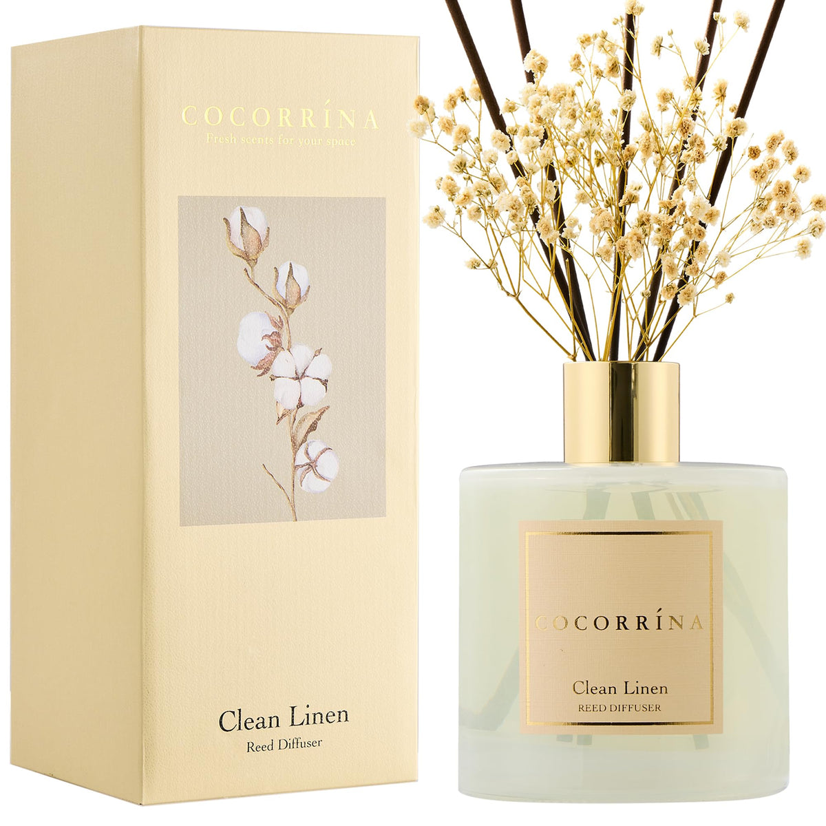 Cocorrína Premium Reed Diffuser Set with Preserved Baby's Breath & Cotton Stick Sandalwood Rose | 6.7oz Scent Fragrance Oil Diffuser for Bedroom Bathroom Home Décor